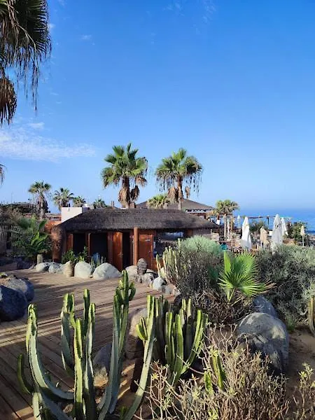 Margherita House Tenerife, Wonderful Ocean View Palm-mar Διαμέρισμα