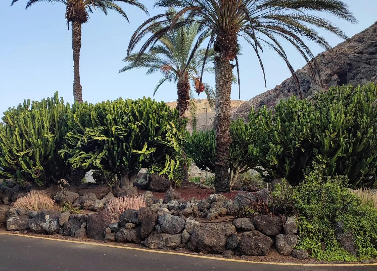 Margherita House Tenerife, Wonderful Ocean View Palm-mar 0*,  España