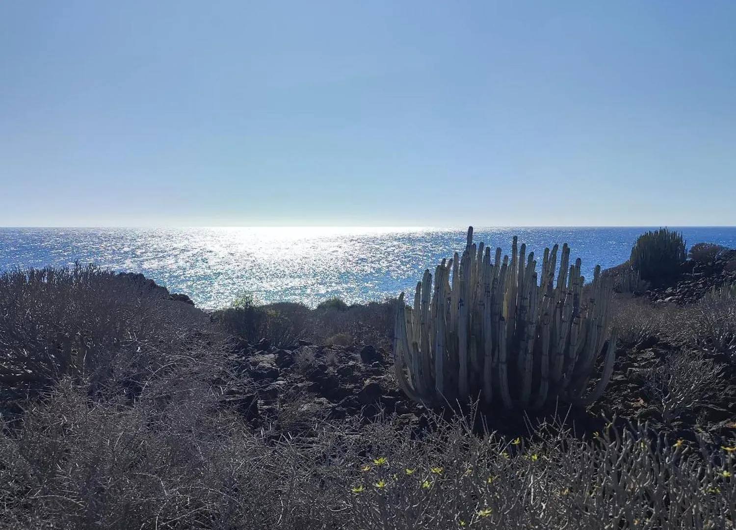 Apartamento Margherita House Tenerife, Wonderful Ocean View Palm-mar